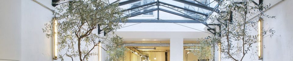 Verrière de toiture en acier style Eiffel